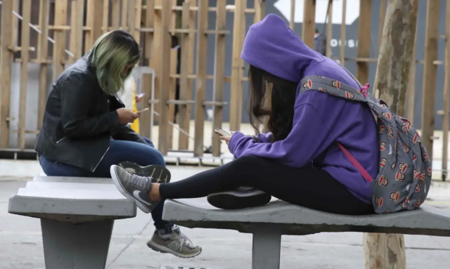 Proibição de Celulares nas Escolas: Uma Medida Inadequada que Pode Limitar a Educação